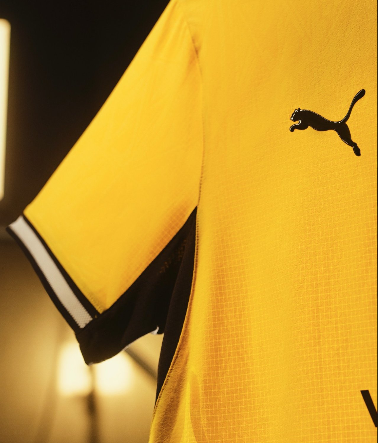 Dortmund Domicile 26/27 — vue 4